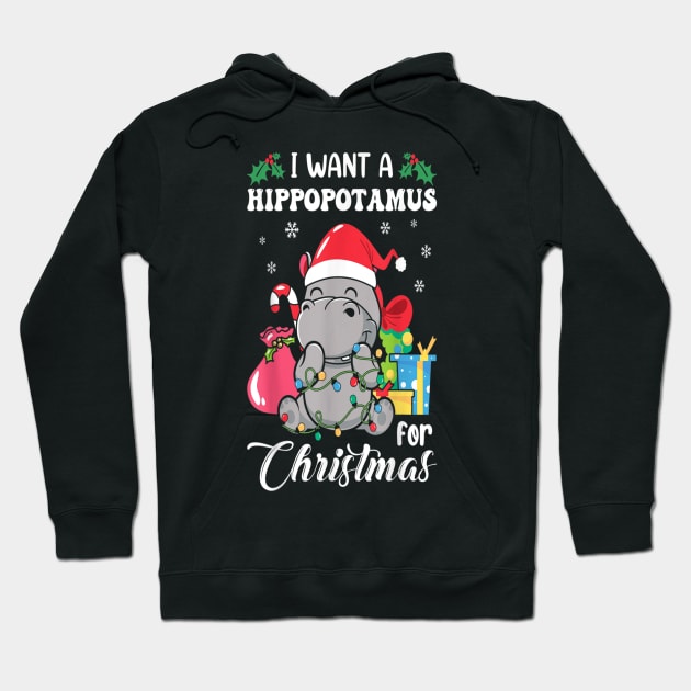 I Want A Hippopotamus For Christmas Hippo Christmas Hoodie by Buleskulls 